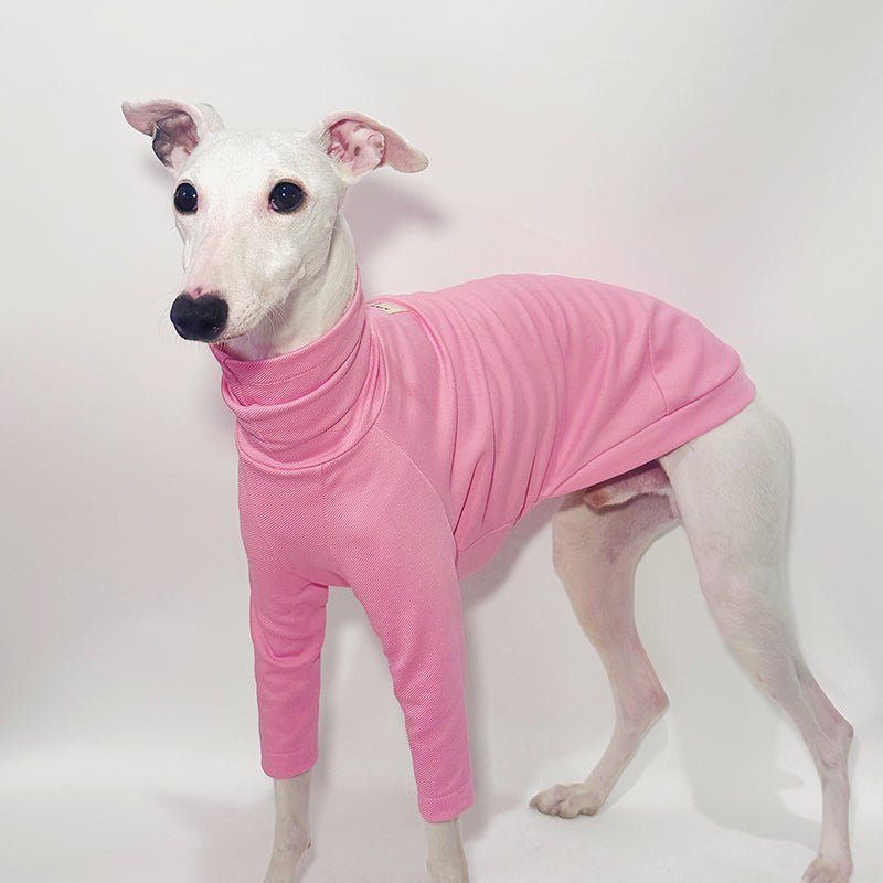 Cotton T-shirts Tee Shirts for Italian greyhound Whippet Dog Clothes - PIKAPIKA