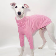 Cotton T-shirts Tee Shirts for Italian greyhound Whippet Dog Clothes - PIKAPIKA
