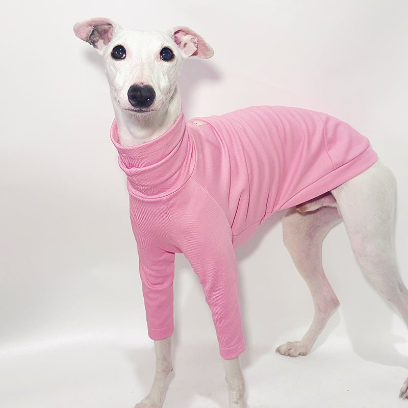 Cotton T-shirts Tee Shirts for Italian greyhound Whippet Dog Clothes - PIKAPIKA