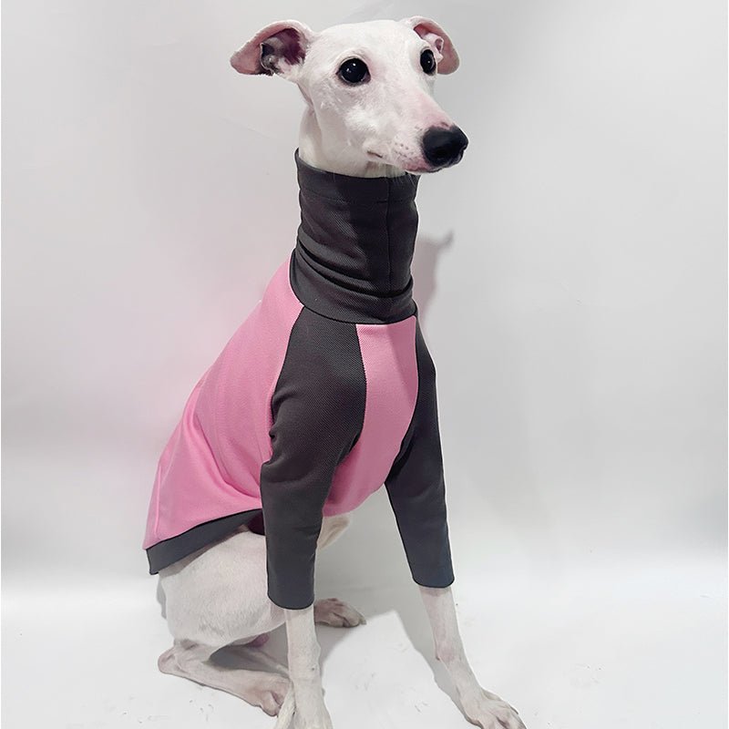 Cotton T-shirts Tee Shirts for Italian greyhound Whippet Dog Clothes - PIKAPIKA