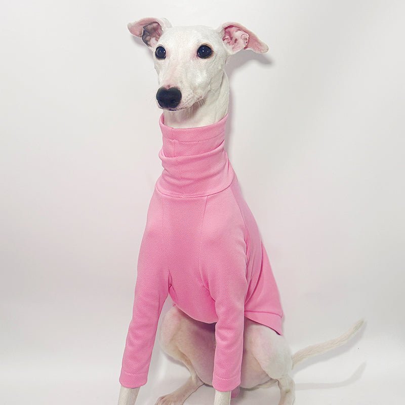 Cotton T-shirts Tee Shirts for Italian greyhound Whippet Dog Clothes - PIKAPIKA