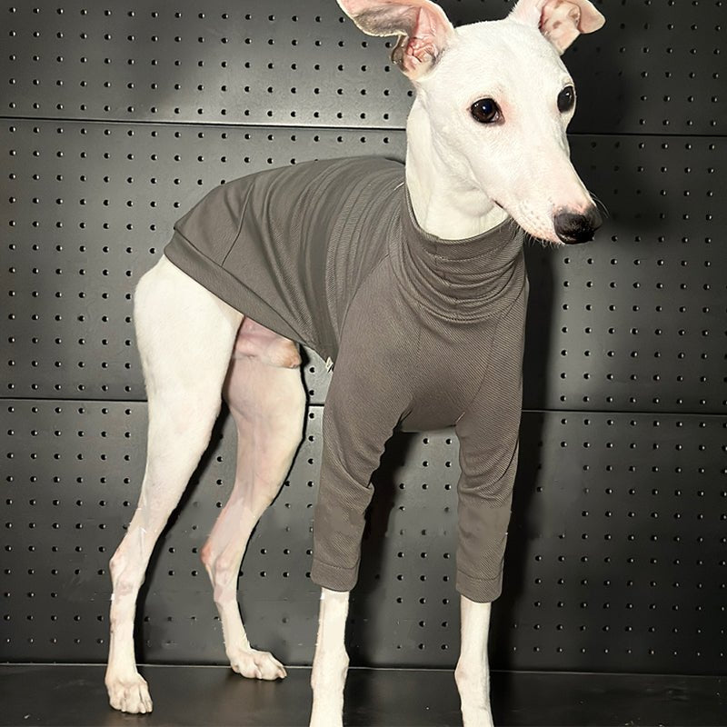 Cotton T-shirts Tee Shirts for Italian greyhound Whippet Dog Clothes - PIKAPIKA