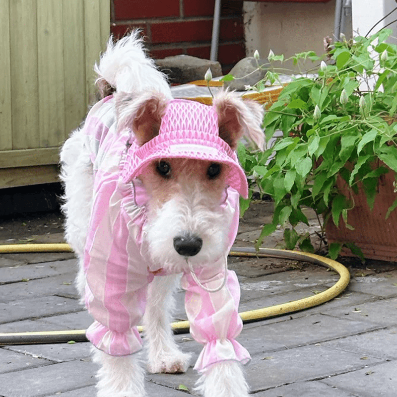 Cotton Tencel Breathable Cooling Shirts for Italian Greyhound & Whippet - PIKAPIKA