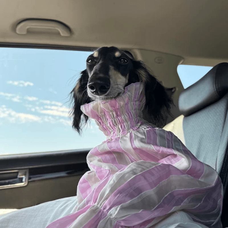 Cotton Tencel Breathable Cooling Shirts for Italian Greyhound & Whippet - PIKAPIKA