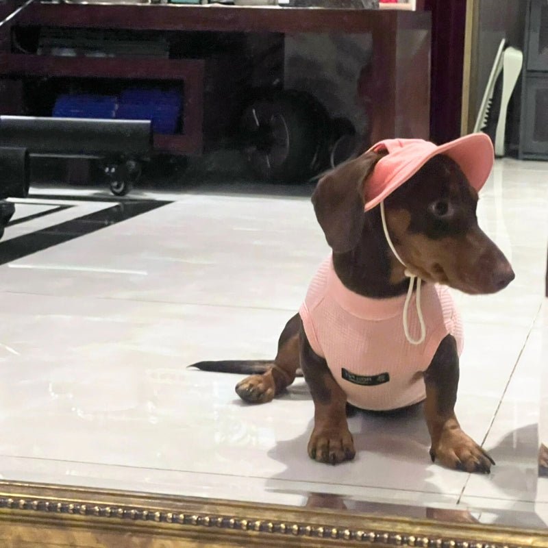 Cotton Thin Shirts Breathable Sleeveless Dachshund Clothes - PIKAPIKA