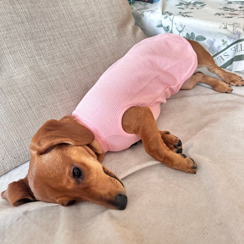 Cotton Thin Shirts Breathable Sleeveless Dachshund Clothes - PIKAPIKA