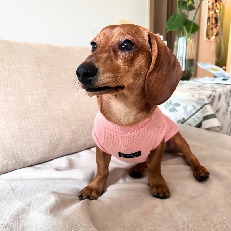 Cotton Thin Shirts Breathable Sleeveless Dachshund Clothes - PIKAPIKA