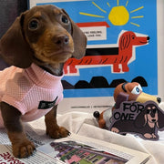 Cotton Thin Shirts Breathable Sleeveless Dachshund Clothes - PIKAPIKA