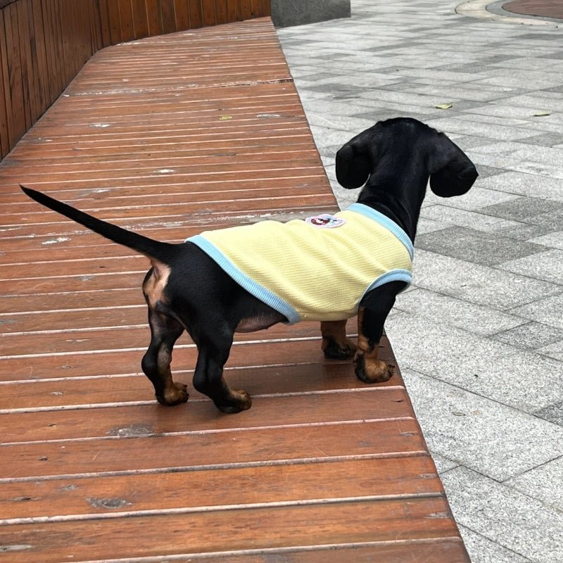 Cotton Thin Vest Breathable Sleeveless Dachshund Clothes - PIKAPIKA