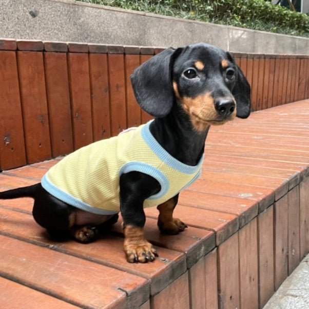 Cotton Thin Vest Breathable Sleeveless Dachshund Clothes - PIKAPIKA