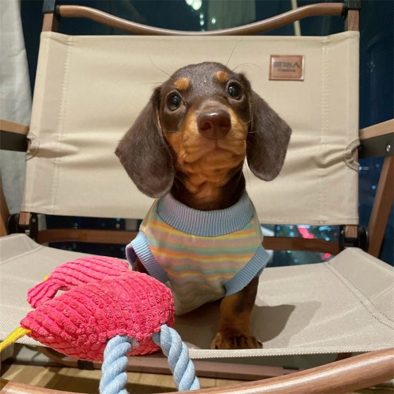 Cotton Thin Vest Dachshund Sleeveless Clothes Colorful - PIKAPIKA