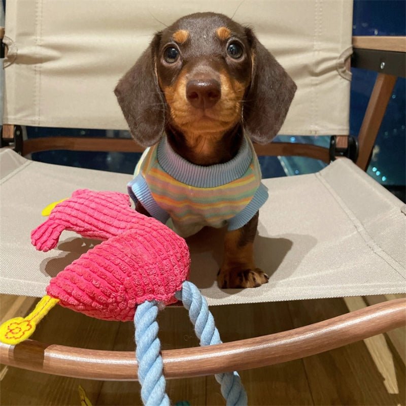 Cotton Thin Vest Dachshund Sleeveless Clothes Colorful - PIKAPIKA