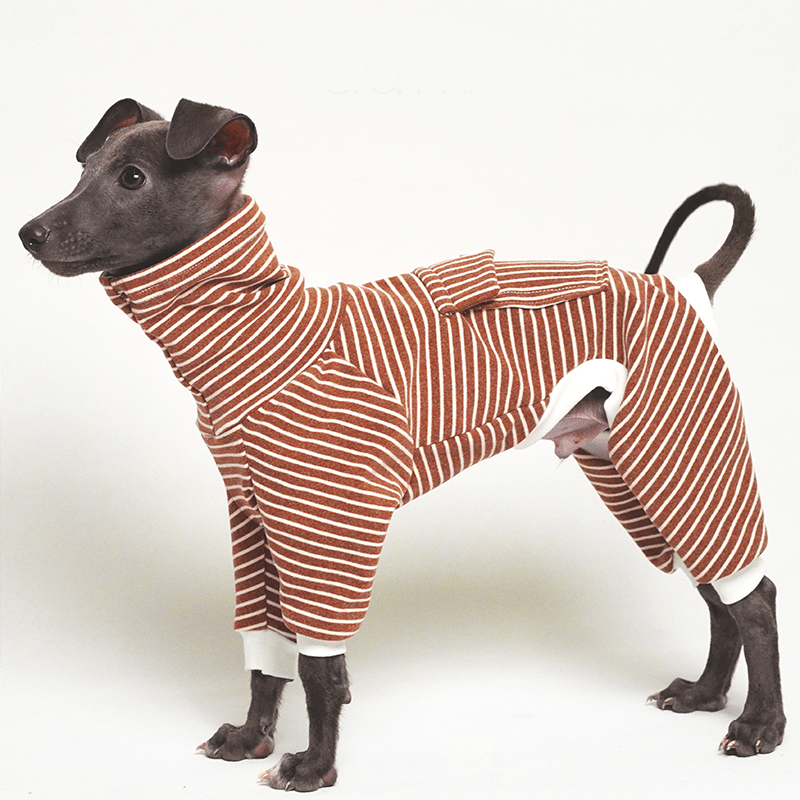 Cotton Turtleneck Dog Onesies Stripe Italian greyhound Whippet Clothes - PIKAPIKA