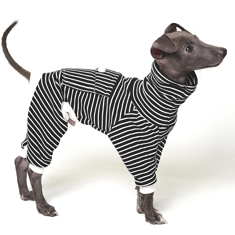 Cotton Turtleneck Dog Onesies Stripe Italian greyhound Whippet Clothes - PIKAPIKA