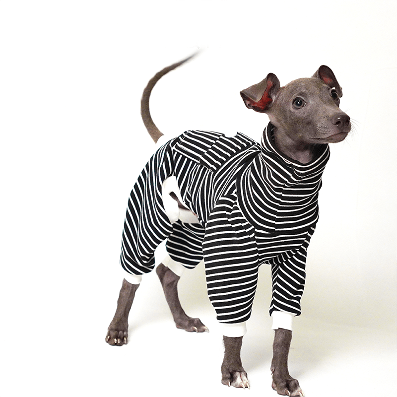 Cotton Turtleneck Dog Onesies Stripe Italian greyhound Whippet Clothes - PIKAPIKA