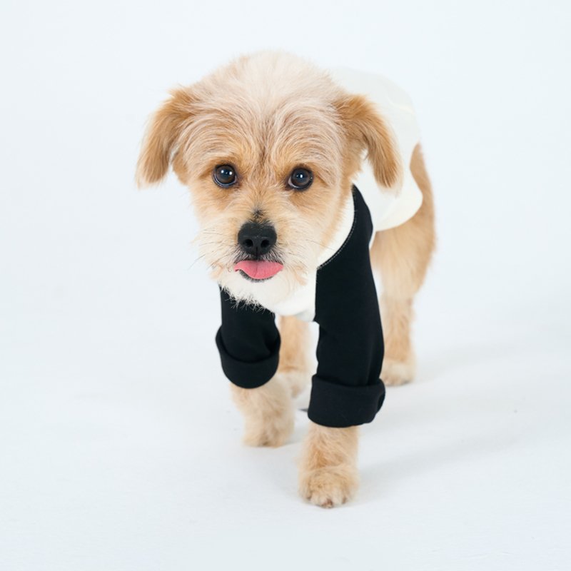 Cotton Turtleneck Shirts Bedlington Dog Clothes - PIKAPIKA