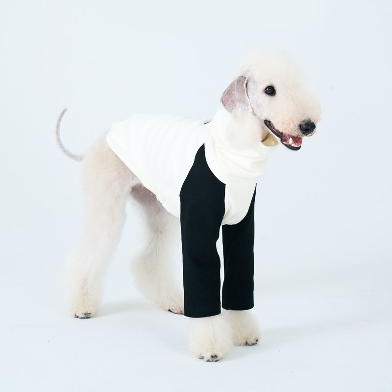 Cotton Turtleneck Shirts Bedlington Dog Clothes - PIKAPIKA