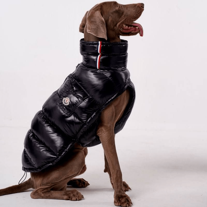 Cotton Windproof Warm Winter Dog Vest Thickened Fleece Coat - PIKAPIKA