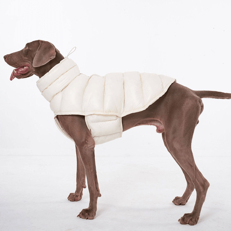 Cotton Windproof Warm Winter Dog Vest Thickened Fleece Coat - PIKAPIKA