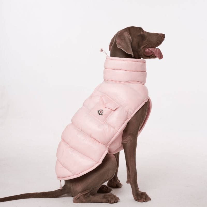 Cotton Windproof Warm Winter Dog Vest Thickened Fleece Coat - PIKAPIKA