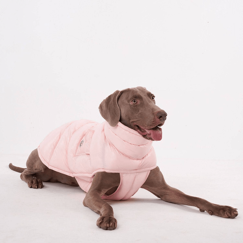 Cotton Windproof Warm Winter Dog Vest Thickened Fleece Coat - PIKAPIKA