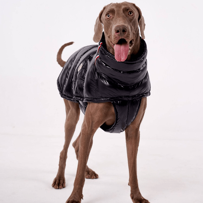 Cotton Windproof Warm Winter Dog Vest Thickened Fleece Coat - PIKAPIKA