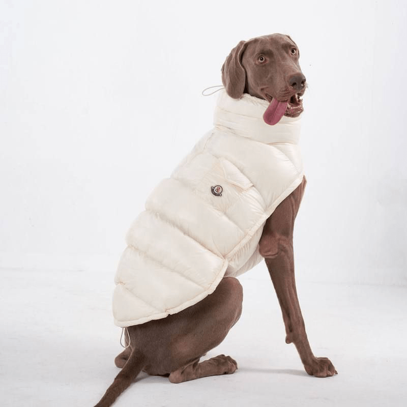 Cotton Windproof Warm Winter Dog Vest Thickened Fleece Coat - PIKAPIKA