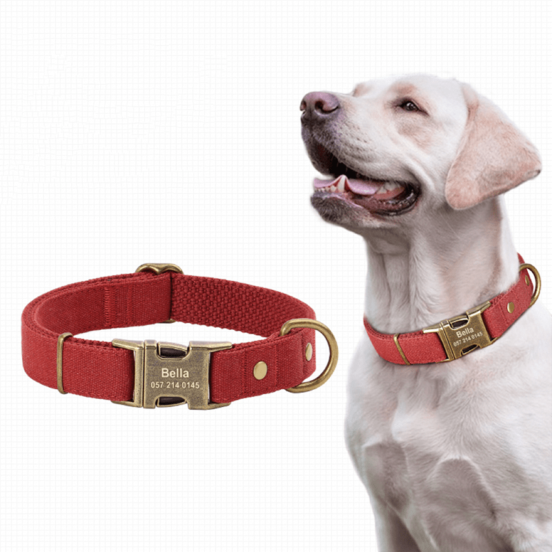Customizable Dog Collar with ID Tag For Medium & Large Dogs - PIKAPIKA