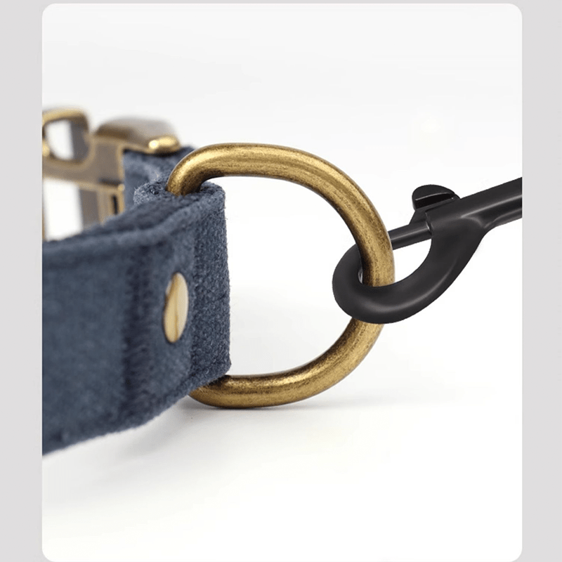 Customizable Dog Collar with ID Tag For Medium & Large Dogs - PIKAPIKA