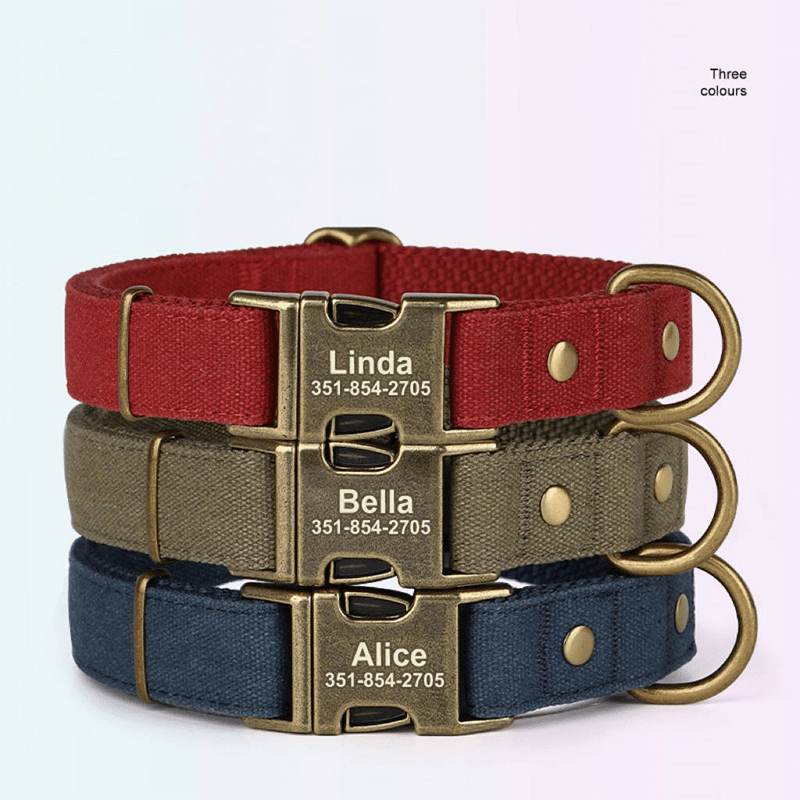 Customizable Dog Collar with ID Tag For Medium & Large Dogs - PIKAPIKA