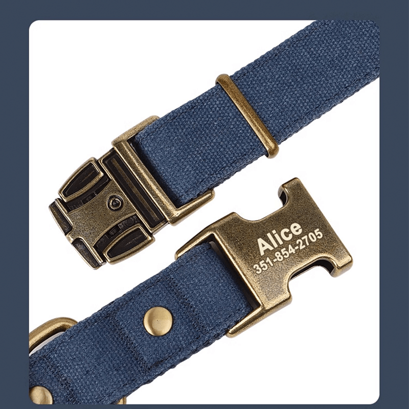 Customizable Dog Collar with ID Tag For Medium & Large Dogs - PIKAPIKA