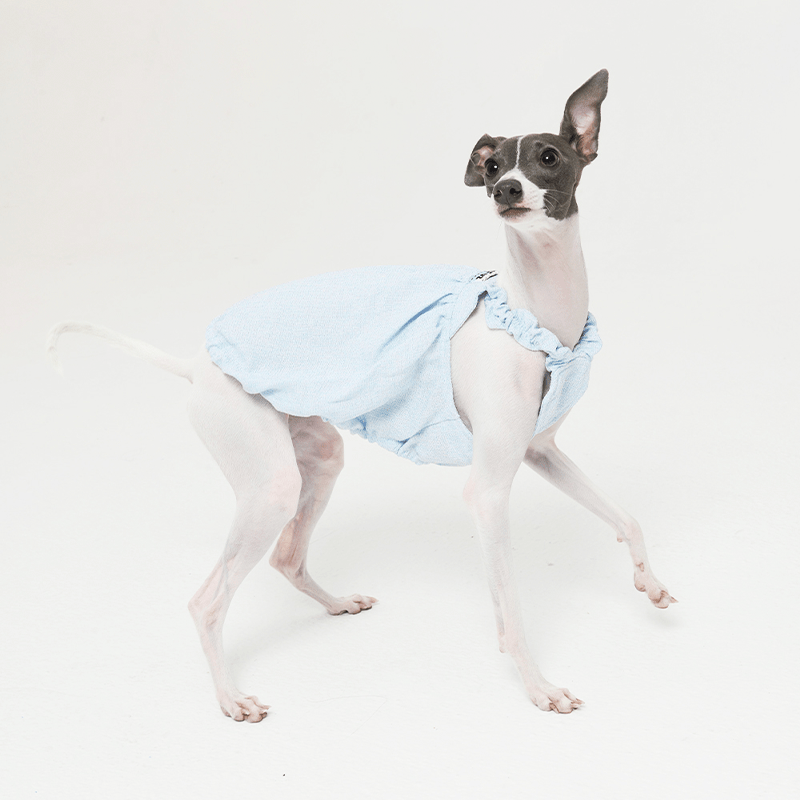 Cute Bubble Skirts Hat Dog Clothes Italian Greyhound Whippet Blue - PIKAPIKA