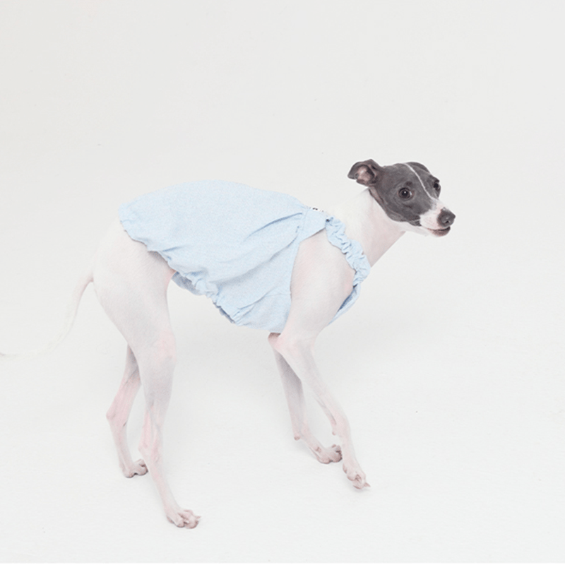 Cute Bubble Skirts Hat Dog Clothes Italian Greyhound Whippet Blue - PIKAPIKA