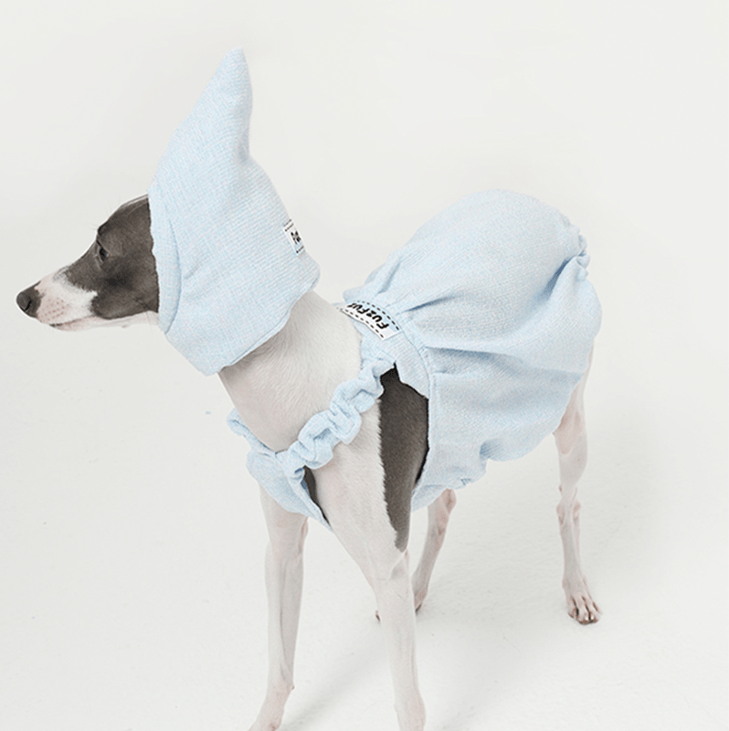 Cute Bubble Skirts Hat Dog Clothes Italian Greyhound Whippet Blue - PIKAPIKA