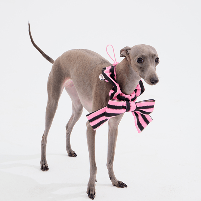 Cute Triangle Pet Bandana Bib for Dogs - PIKAPIKA