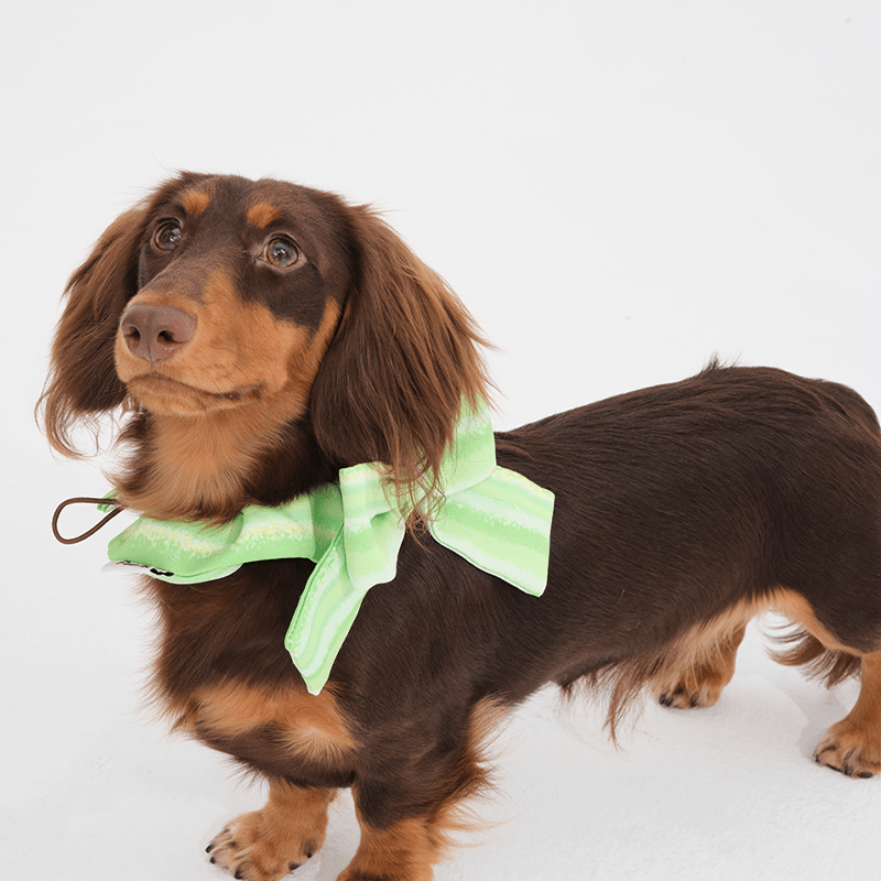 Cute Triangle Pet Bandana Bib for Dogs - PIKAPIKA