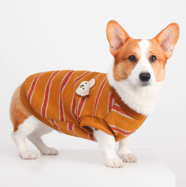 Festive Winter Dog Vest – Cozy Warmth for Cold Days