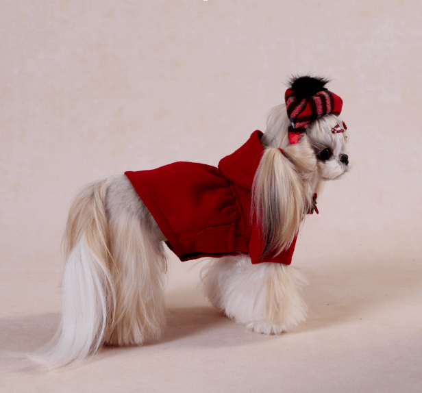 Dog Coat Red Plush New Year Outfit for Maltese Shih Tzu Size XS-XXL