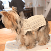 Dog T-Shirt - Cotton Breathable Pet Tee with Mesh Stripe