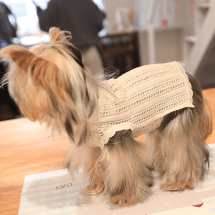 Dog T-Shirt - Cotton Breathable Pet Tee with Mesh Stripe