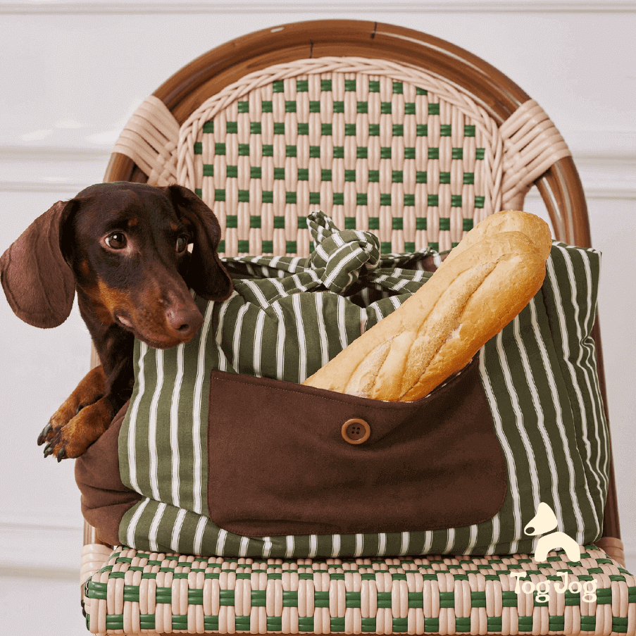 Avocado Pet Carrier Bag – Baby-Grade PP Cotton for Dogs & Cats