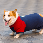 Corgi Belly Protector Dog Clothes – Soft Warm 4-Legged Outfit