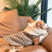 Vintage Knit Sweater Coat – Cozy Cashmere Warm Pet Jacket