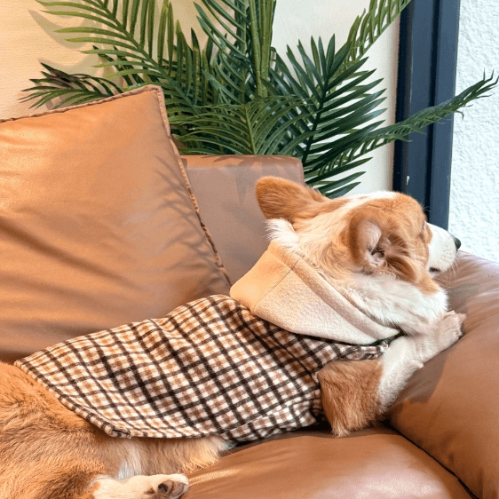 Vintage Knit Sweater Coat – Cozy Cashmere Warm Pet Jacket