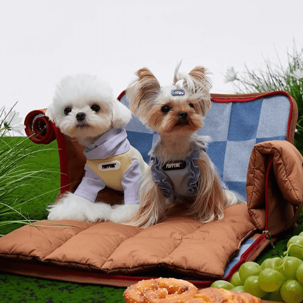 Denim Pet Carrier Bag – Adjustable Shoulder Strap with Safety Leash