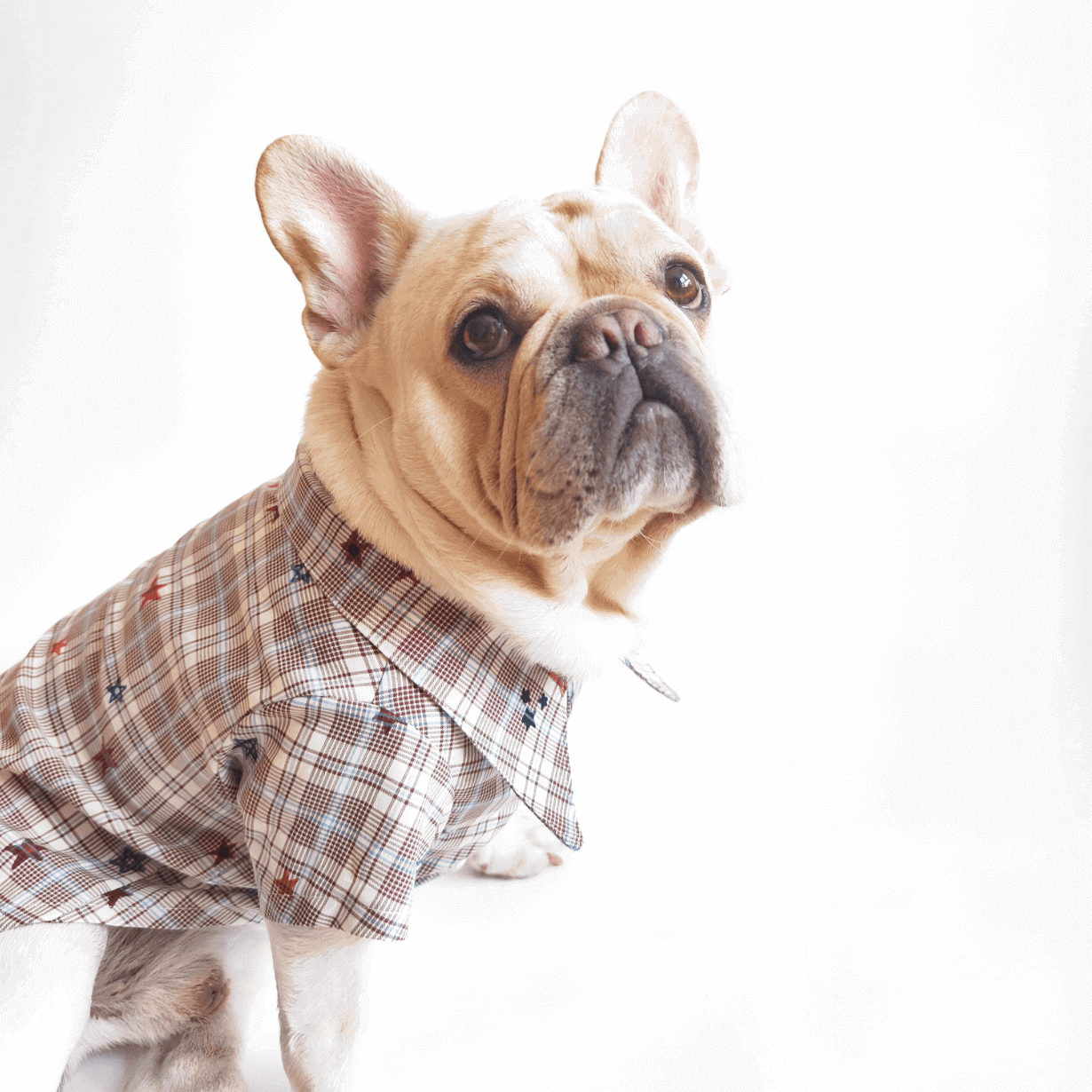 Classic Plaid Dog Shirt – Breathable Pet Top