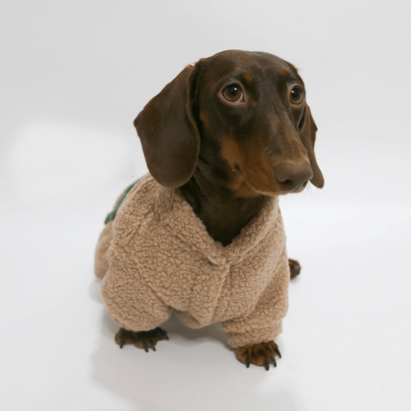 Dachshund Clothes Chrismas Dog Costume Fleece Coat Button Dress Warm - PIKAPIKA