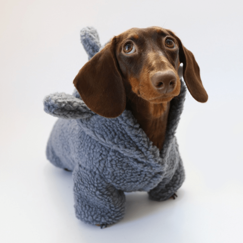 Dachshund Clothes Dog Baby Shark Costume Fleece Hoodie Coat - PIKAPIKA