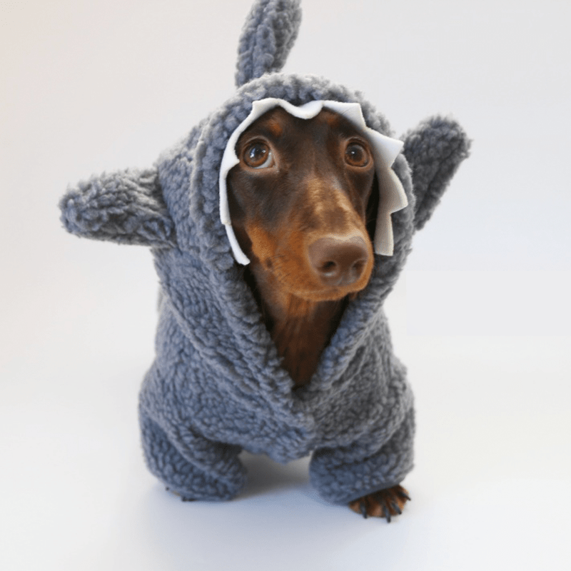 Dachshund Clothes Dog Baby Shark Costume Fleece Hoodie Coat - PIKAPIKA
