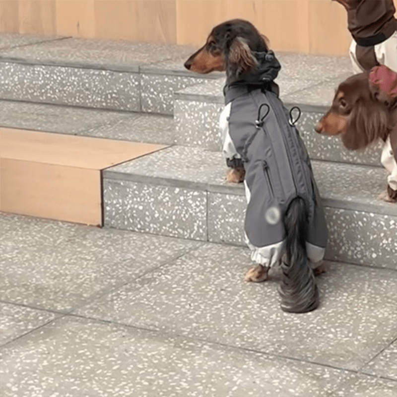 Dachshund Clothes Dog Coat Softshell Jacket Outdoor Windproof - PIKAPIKA